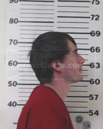 Timothy Allen Henry