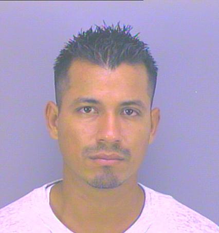 Alejandro Nava Bonilla