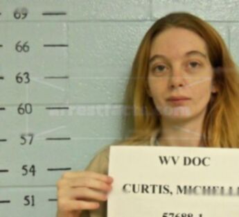 Michelle L Curtis