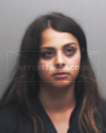 Alsiha Shuweb