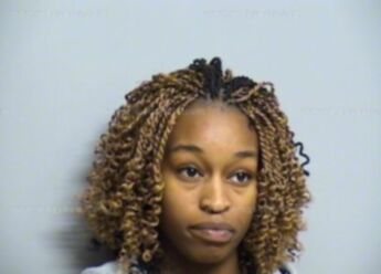 Sequoia Shnee Warren