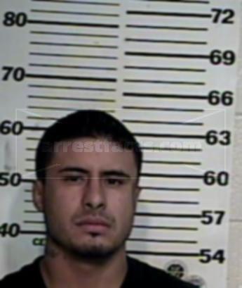 Salvador Jr Leal Gamez