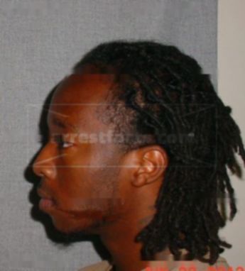 Christopher L Ivory