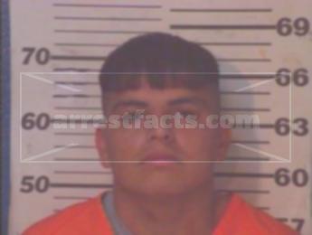 Raul Flores Aguilar