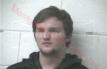 Cody D Morton