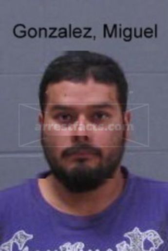 Miguel Angel Gonzalez