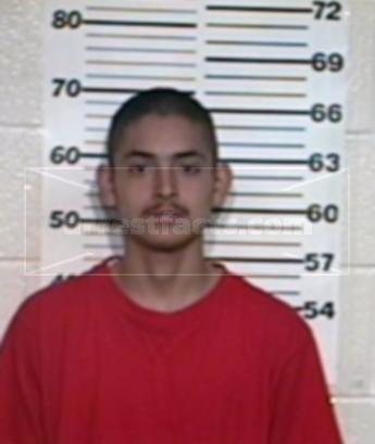 Carlos Daniel Tijerina Meza