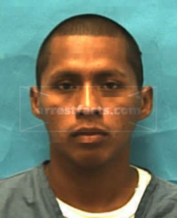 Pascual J Martinez