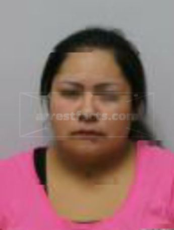 Urilia Frances Jean Hairy Shirt