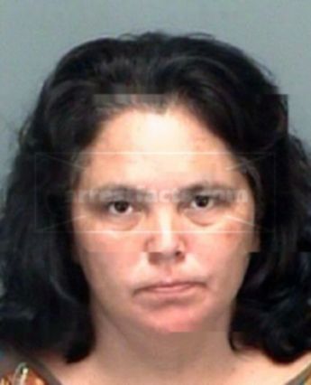 Shelly Ann Ciccolini