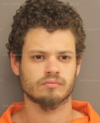 Nicholas Salvador Licciardi Iii