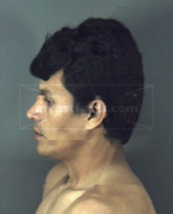 Santiago Ramirez-Guerrero
