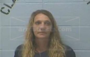 Lee Ann Colvin