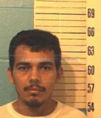 Jose Elmer Castillo-Medrano