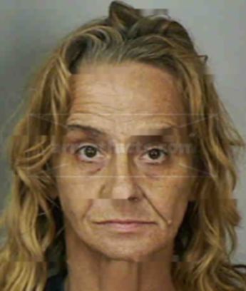 Donna Susan Cecil