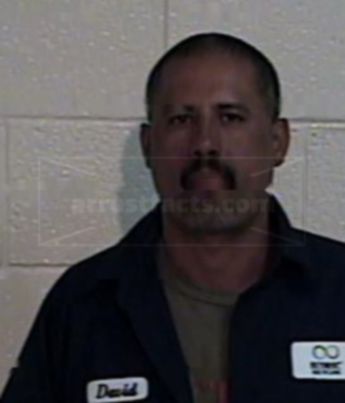 David Flores Alaniz
