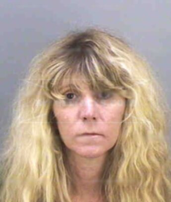 Vici Lynn Fredericks