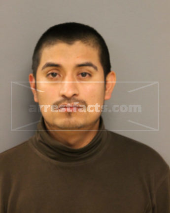 Jose L Ramos Flores