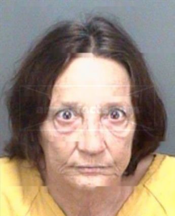 Christine Ann Mclellan