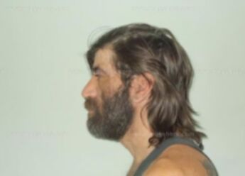 Michael A Foss
