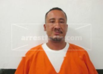Juan Jose Ibarra