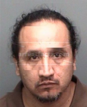 Jose J Cortez