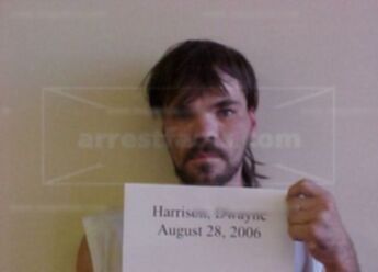 Dwayne P Harrison