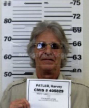 Harvey Arhtur Patler