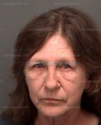 Carol Ann Sagnis
