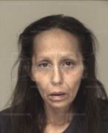Janice Renee Holstein