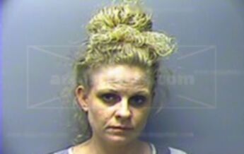 Amanda Lee Strouse