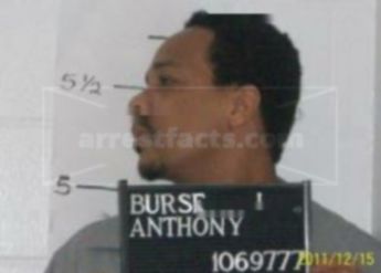 Anthony Burse