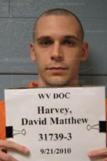 David Matthew Harvey