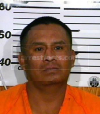 Francisco Roa Flores