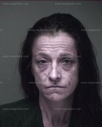 Leslie Ann Haines
