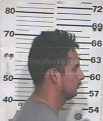 Nelson Luis Vega