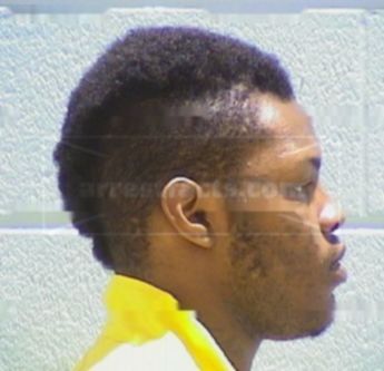 Michael E. Andrews Jr.