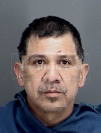 Michael Junior Flores