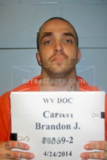 Brandon J Carter