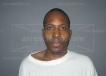 Adam Prince Edward Domino (Brown)