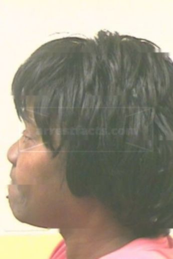 Cheryl Rainey Flanders