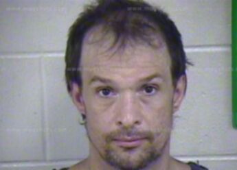Timothy B Greenfield