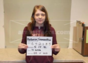 Samantha J Heberer