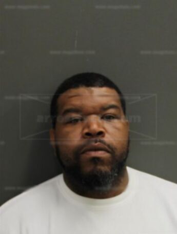 Fields Lapalmer Gaddy