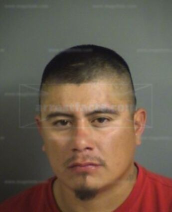 Bruno Zavala Jr.