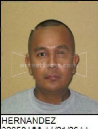 Jose P Hernandez