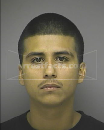 Nicholas Rojas Aguilar