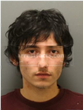 Triston Gonzales