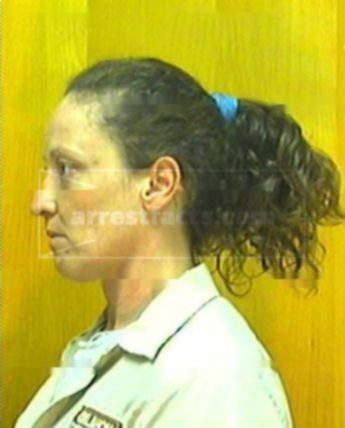 Lisa M Lyons