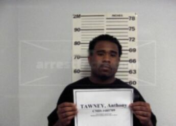 Anthony Michael Tawney